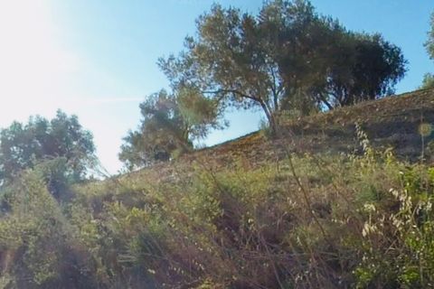 Finca i Mondron, Malaga, Mondron - € 26.000 | Ref: ID4388 - foto 3
